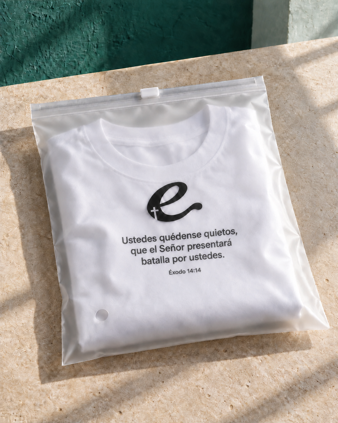 Remera Oversize "Ustedes quedense quietos que el señor"